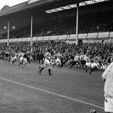 Image result for Micklethwaitia