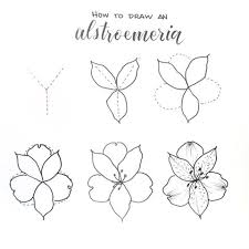 Happy Friday By Request Here Are The Steps To Draw A Sunflower To Me The Hardest Part Is Getting Th Blumen Zeichnung Kurse Blumenzeichnung Blumen Zeichnung
