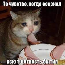 Создать мем Грустный кот ест салями