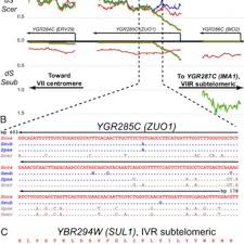 Pdf Microbe Domestication And The Identification Of The Wild Genetic Stock Of Lager Brewing Yeast