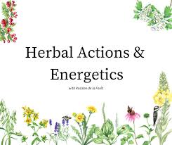 herbal energetics