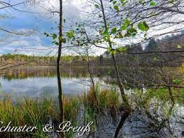 ca 7 ha grosser glasklarer fischreicher see mit ca 1 3 ha uferland in idyllischer naturlandschaft natur landschaft naturlandschaft