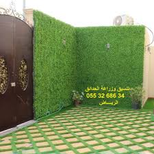 تزيين وتنسيق حدائق تصاميم احواش خارجية تصاميم الحدائق المنزلية تصاميم الحدائق المنزلية الصغيرة Instagram Photo Garden Instagram