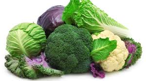 We did not find results for: Awas Cacing Pita Di Sayur Kubis Dan Kembang Kol Begini Cara Bersihkannya