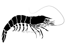 Shrimp Clipart Instant Download Hand Drawn Digital Prawn Silhouette Seafood Graphic Prawn Logo Silhouette Shrimp Art Clip Art