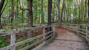 Island Lake Conservation Area: Hiking the Vicki Barron Lakeside Trail