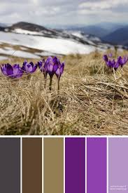 Warna membuat desain lebih hidup. 900 Ide Kombinasi Warna Color Combination Kombinasi Warna Warna Palet Warna