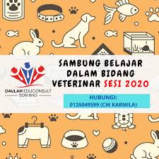 Program sepenuh masa ini ditawarkan untuk tempoh pengajian selama 3. Tawaran Sambung Belajar Dalam Bidang Veterinar Di Indonesia Bangladesh