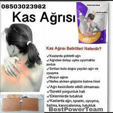 Fromus Agri Bantlari Ile Agrisiz Bir Yasam Acarkent Acibadem Adalar Akaretler Akatlar Akfirat Aksaray Alemdag Dogal Saglik Saglik Fibromiyalji