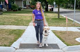 Clicker Training Your Dog Leader Dogs For The Blind