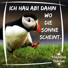 Pin Von Christine Rauch Auf Spruche Wetter Regen Regenwetter Wetter