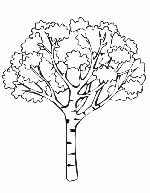 Check spelling or type a new query. Desene De Colorat Pomi Qbebe Planse Si Imagini De Colorat