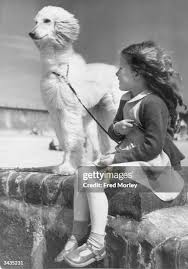 14 Janet Morley Photos & High Res Pictures