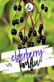 Elderberry Vs Tamiflu Which Is Better In 2020 Homemade Elderberry Elderberry Elderberry Gummies