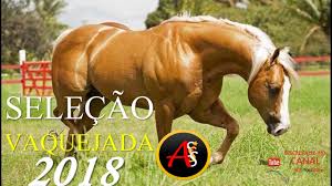 Baixar músicas de vaquejada gratis. Selecao Vaquejada 2018 100 Vaquejada Pra Paredao Musica Nova 2018 Youtube