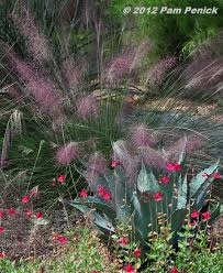 Maybe you would like to learn more about one of these? Plant This Gulf Muhly Grass Digging