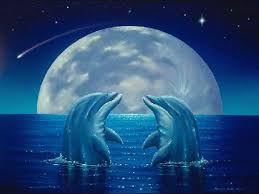 скачать бесплатно живые обои для андроид на русском языке Dolphins Wallpaper Android Apps On Google Play 1600 1000 Pictures Of Dolphins Wallpapers 51 Wallpapers Adorable Wallpapers Desktop Delfiny Luna I De