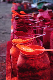 Wordpress Installation Incredible India Kolkata Holi