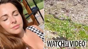 8ft boa constrictor found in owner's Lanarkshire home