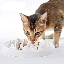 Slimcat interactive feeder cat toy. The 5 Best Slow Feed Cat Bowls Updated 2020 Neater Pets