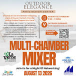 Multi-Chamber Mixer