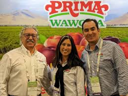 Southern Innovations in perfect harmony in Music City