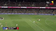Join the roar for live scores from 5:40pm (aest). Best Adelaide Vs Gws Gifs Gfycat