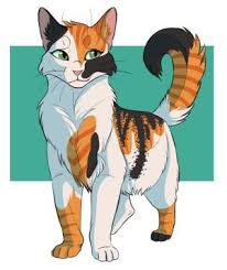 Related Image Warrior Cat Warrior Cats Cat Character