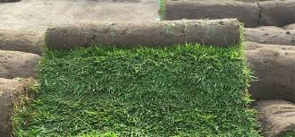 We did not find results for: Quality Garden Supplies Landscape Supply Company Essex