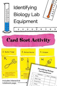Card Sort Activity Identifying Biology Lab Equipment In 2020 Biology Labs Free Science Worksheets Biology