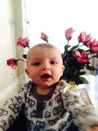 Joshua first year 2014 to 2015