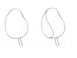 Zeichnen ideen leicht bilder designfan in schone bilder zum nachzeichnen stay safe and healthy. Rose Mit Bleistift Einfach Zeichnen Tutorial Dekoking Diy