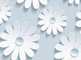 White Floral Pattern Background Wallpaper White Flower Background White Background Wallpaper Flower Backgrounds