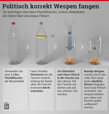 Tipps Gegen Die Wespen Plage So Schlagen Sie Die Biester In Die Flucht Wespenfalle Tipps Wespe