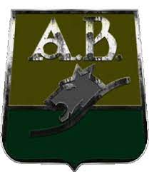 Club atlético bucaramanga s.a., better known as atlético bucaramanga, is a professional colombian football team based in bucaramanga. Gif Atletico Bucaramanga Kolumbien Fussballvereine Amerika Sport