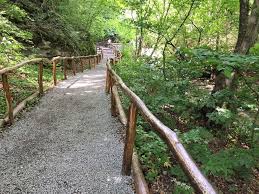 200 m cascada bigar din caras severin se afla in muntii aninei, chiar pe paralela 45 si a fost inclusa din anul 2000 in parcul. Traseu Turistic Civilizat In Zona Cascadei BigÄƒr Victor Kapra