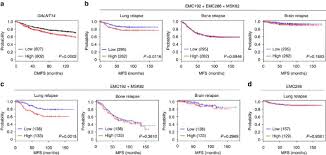 Cancer that has spread to your lungs is also probably in your bloodstream. Galnt14 Promotes Lung Specific Breast Cancer Metastasis By Modulating Self Renewal And Interaction With The Lung Microenvironment Nature Communications