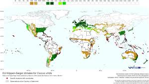 Image result for Ozoroa viridis