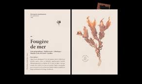 Quatrieme Etage Ophelie Raynaud Valentin Porte Toulouse France Book Design Publication Design Graphic Design