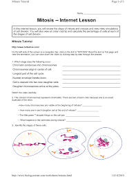 Phases of meiosis worksheet answers | www.dougnukem. Mitosis Internet Lesson