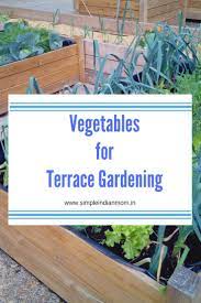 Selection Of Vegetables For Terrace Gardening Simple Indian Mom Terrace Garden Home Vegetable Garden Container Plants