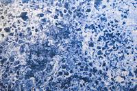 Bildergebnis für Ala D'Amico