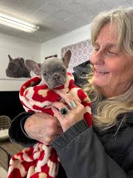 This awesome frenchie has hearts🫶