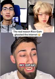 Ashleythomas904 Ricegum