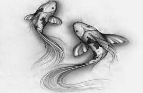 We did not find results for: Download Sketsa Gambar Ikan Koi Dan Terapkan 6 Tips Ini