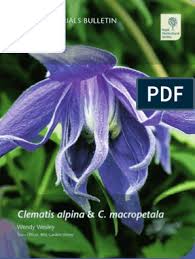 Check spelling or type a new query. Clematis Bulletin Hi Pdf Domesticated Plants Ethnobotany