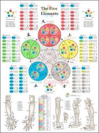Osteopathic Chiropractic Posters Charts And Products