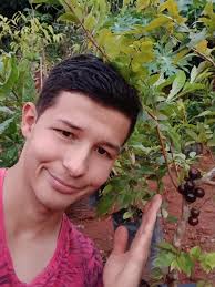 Plante suas frutíferas e colha os benefícios!