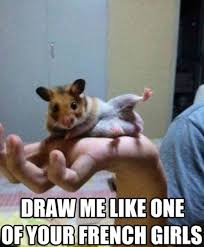 They behave exactly how you deal with them. Funny Animal Memes