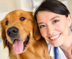 We did not find results for: Our Hospital Vca Blue Cross Animal Hospital